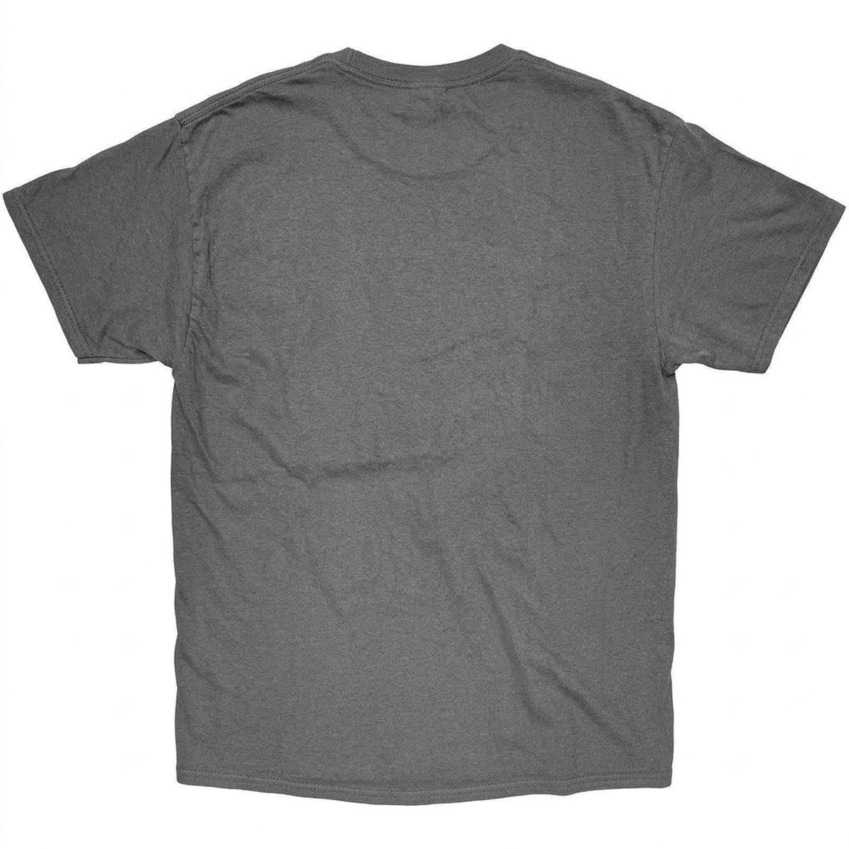 Charcoal Grey - Back - Blink 182 Unisex Adult Band Logo T-Shirt