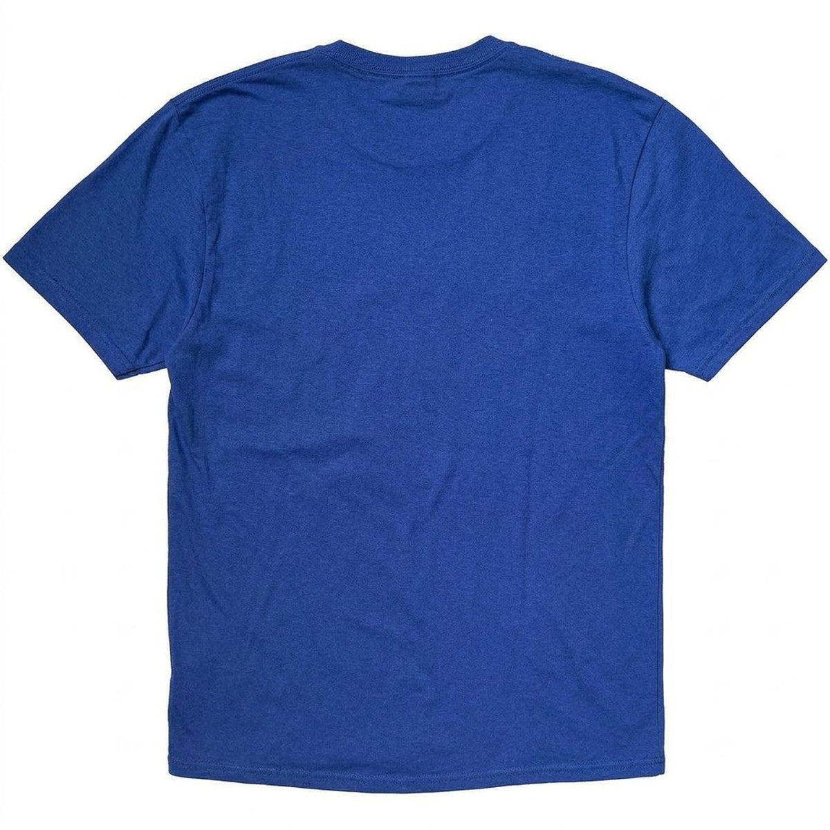 Blue - Back - Blink 182 Unisex Adult One More Time T-Shirt