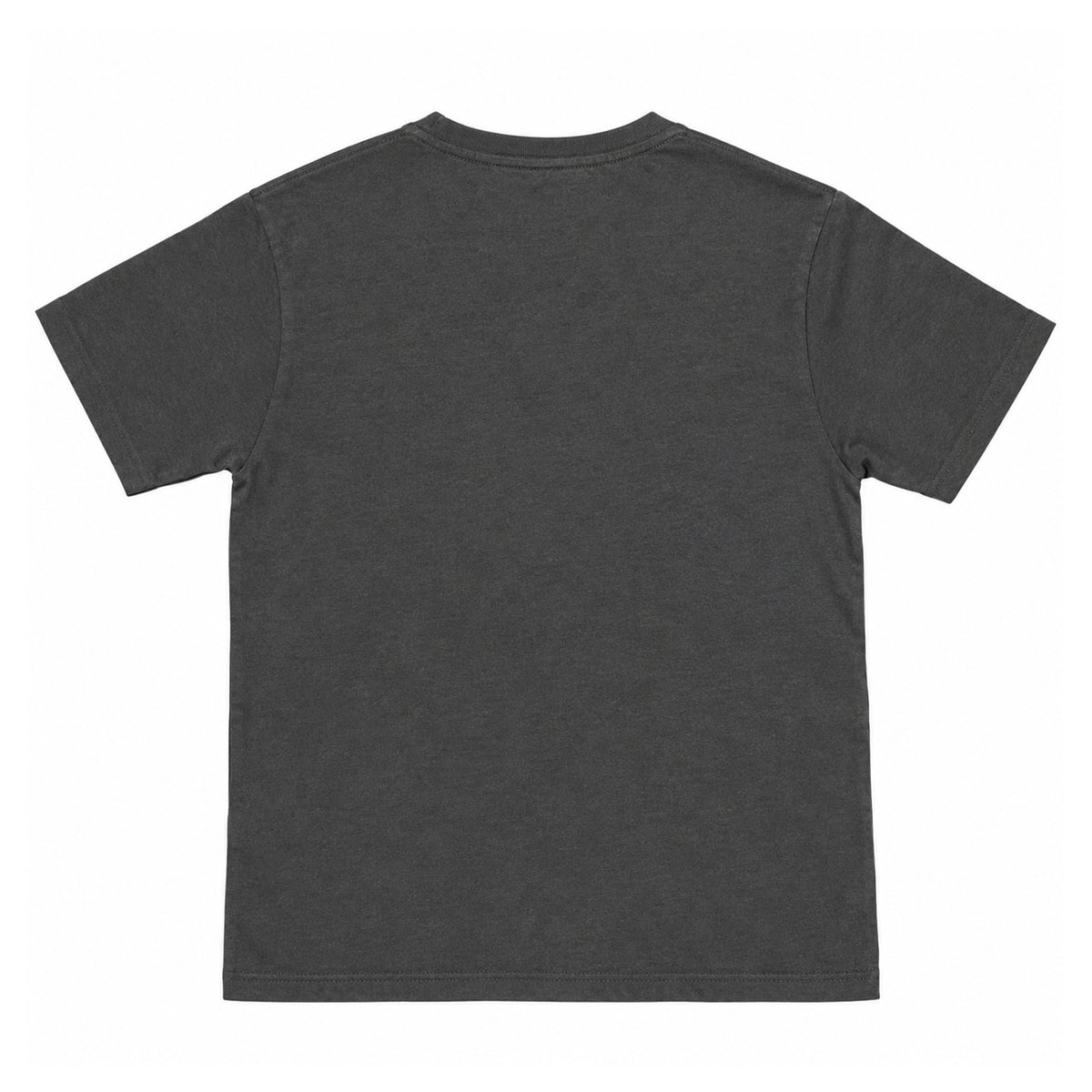 Charcoal Grey - Back - The Powerpuff Girls Unisex Adult Bubble Text T-Shirt
