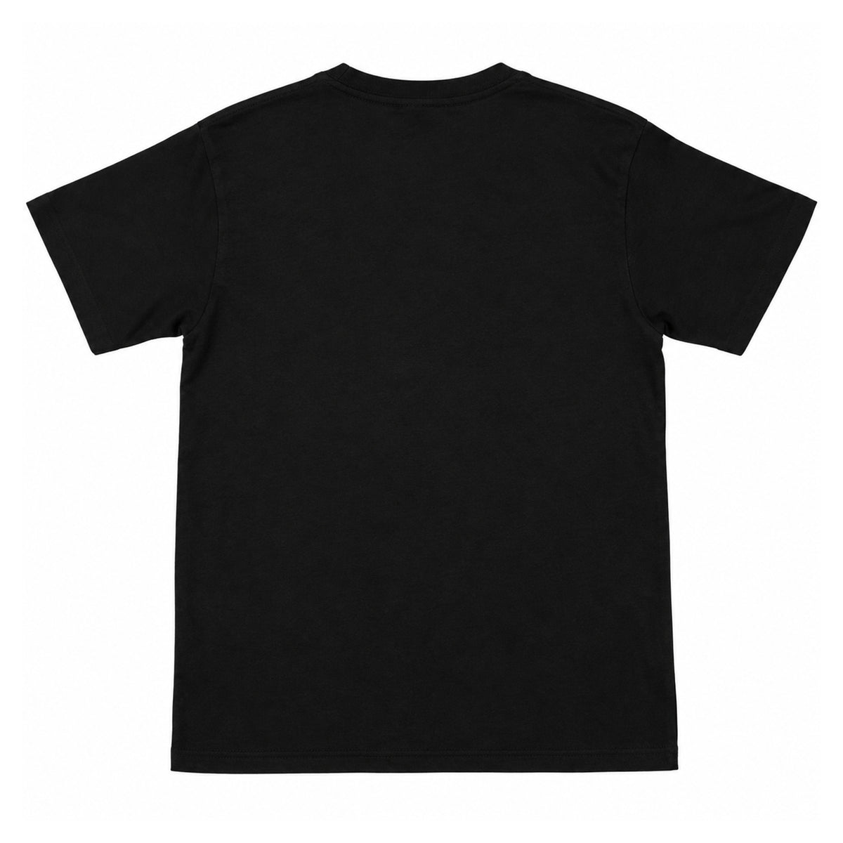 Black - Back - Nickelback Unisex Adult High Time Carbon T-Shirt