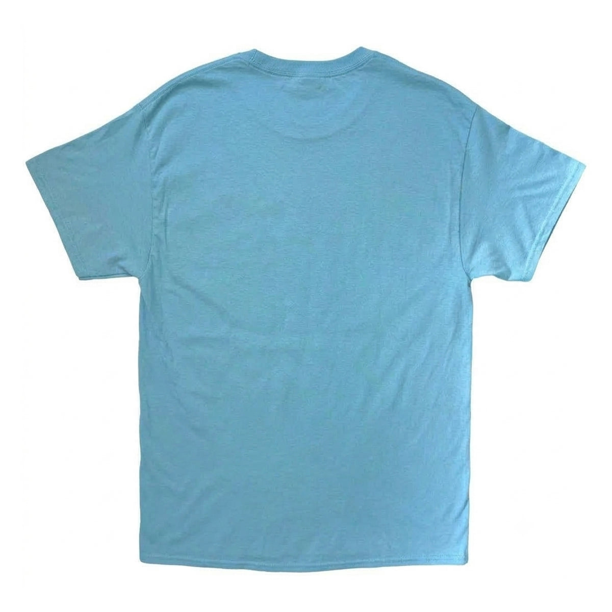 Blue - Back - Aretha Franklin Unisex Adult Respect Crew Neck T-Shirt
