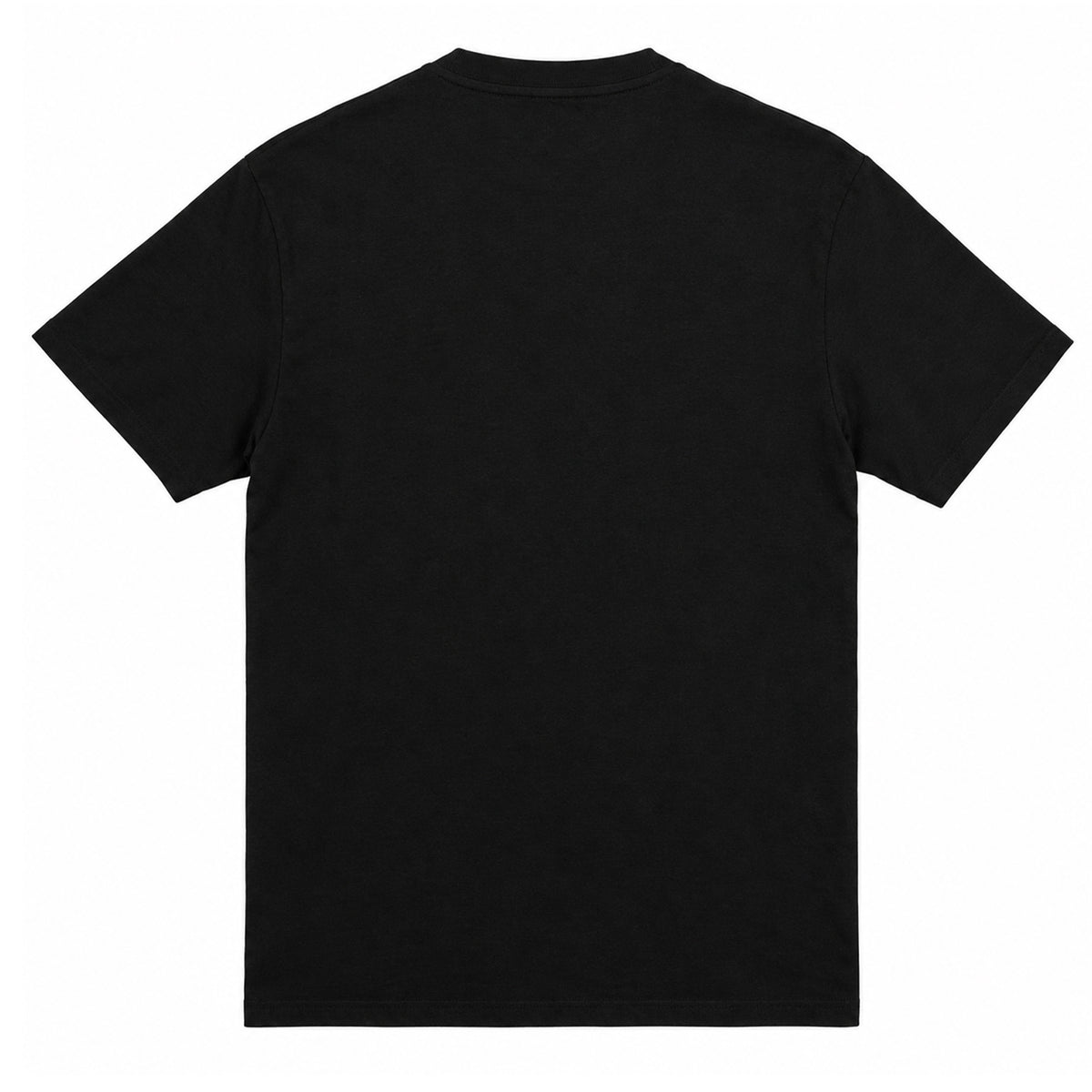 Black - Back - Aretha Franklin Unisex Adult Cobo Hall T-Shirt