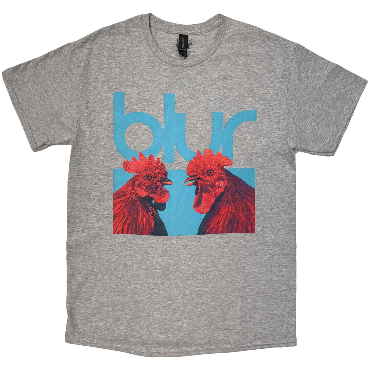 Grey - Front - Blur Unisex Adult Hens Teeth T-Shirt