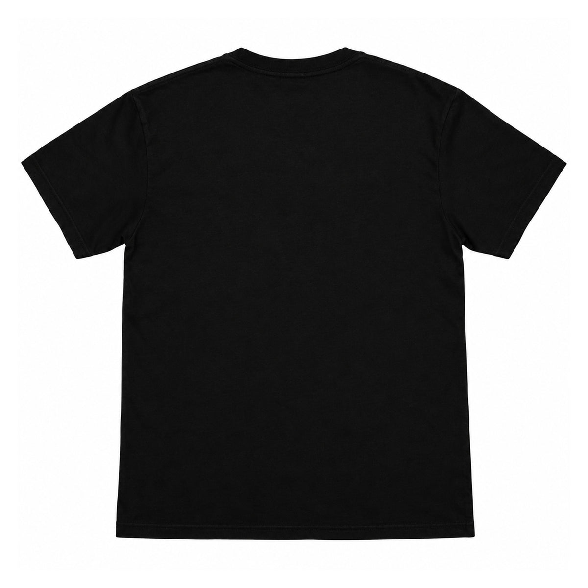 Black - Back - Guns N Roses Unisex Adult Coffin Logo T-Shirt