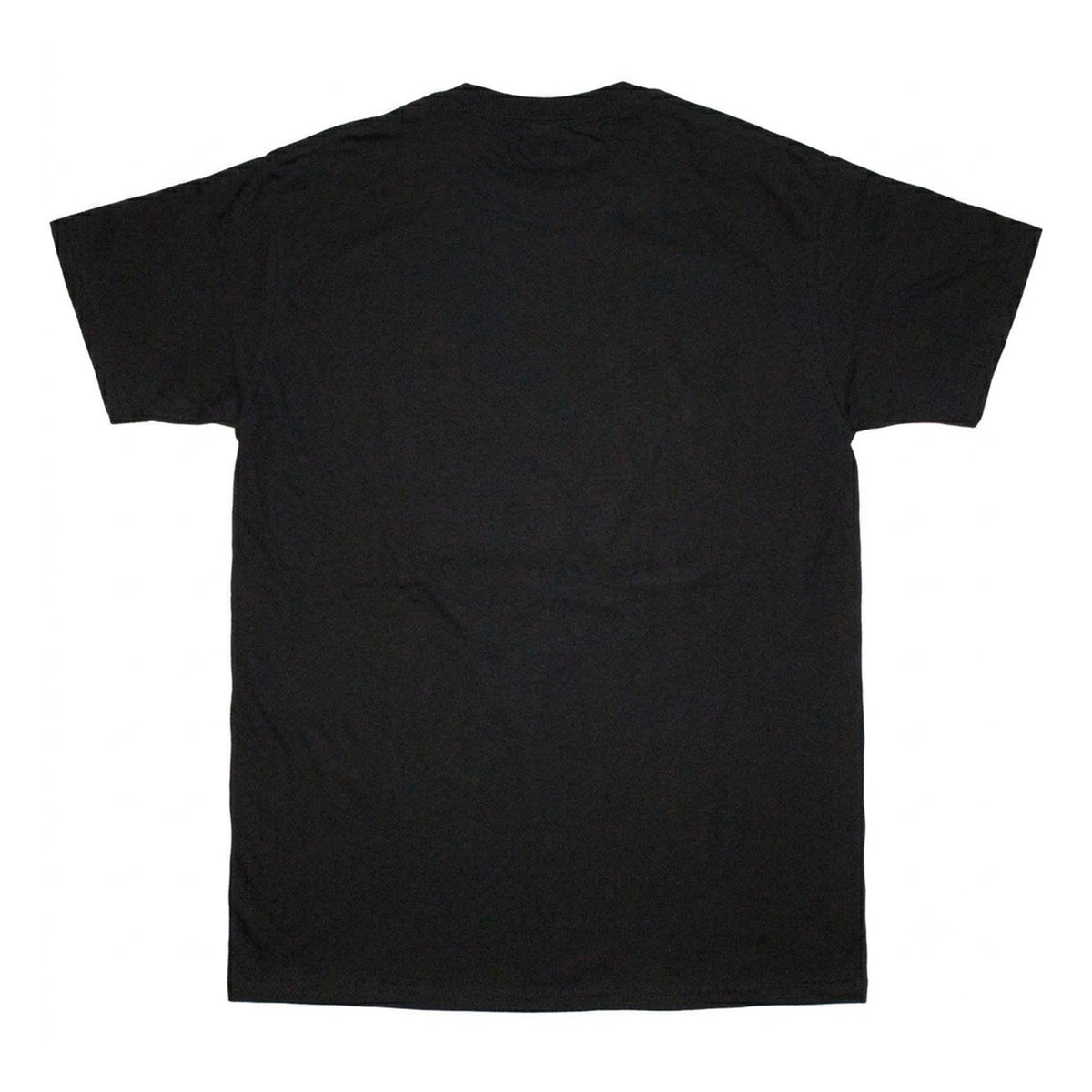 Black - Back - The Stone Roses Unisex Adult Wembley T-Shirt