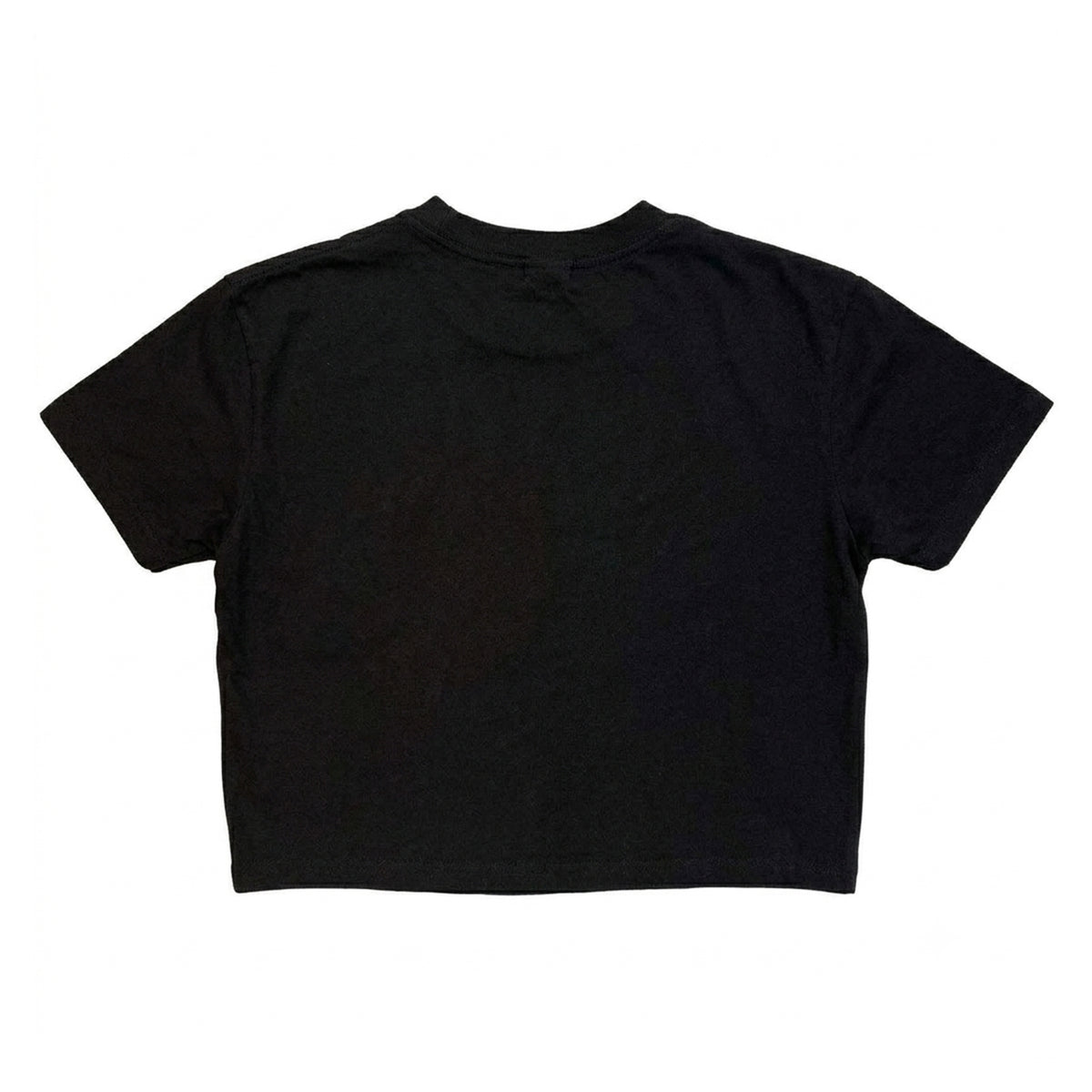 Black - Back - Bruce Springsteen Womens-Ladies Born in the USA Crop Top