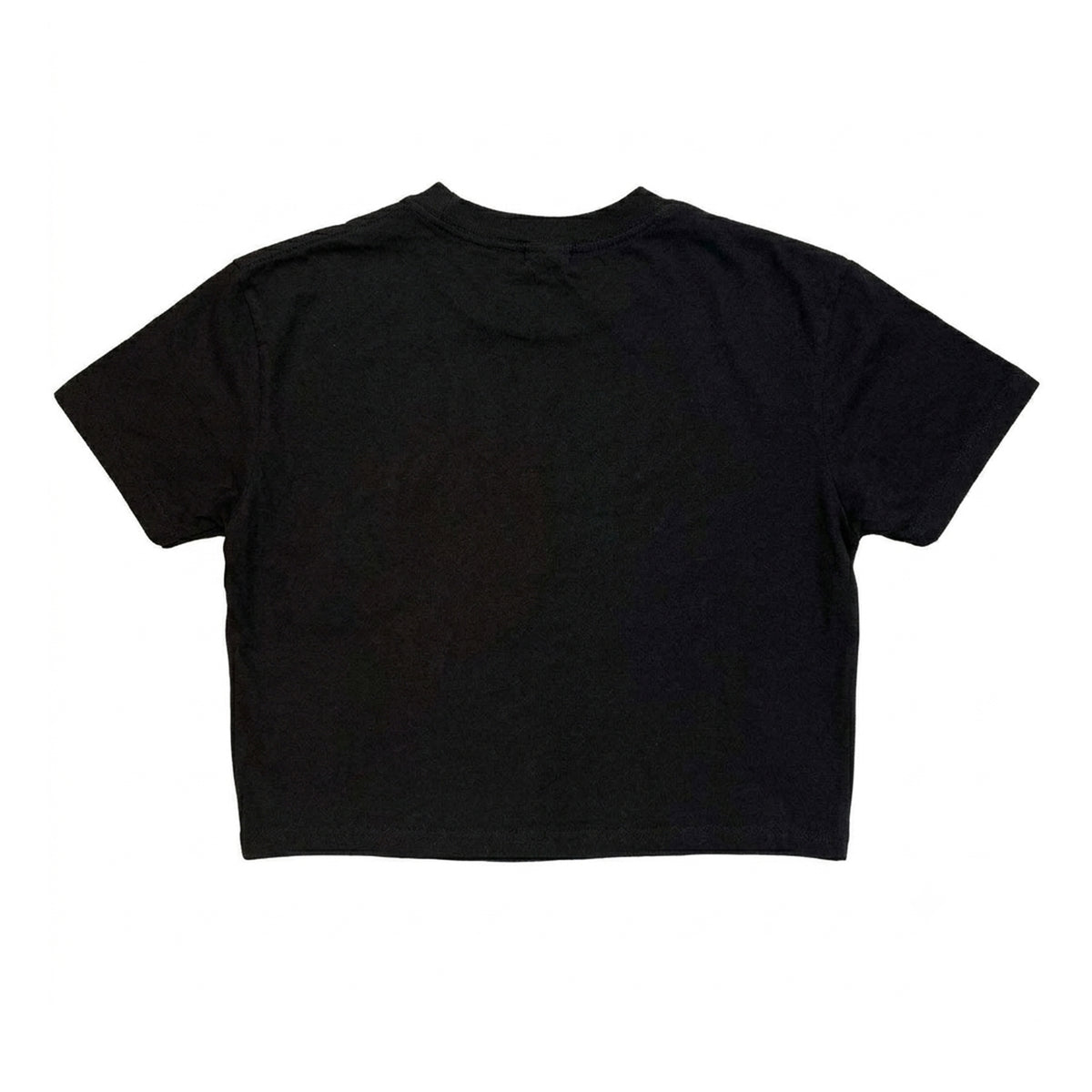 Black - Back - Foo Fighters Womens-Ladies Emblem Crop Top