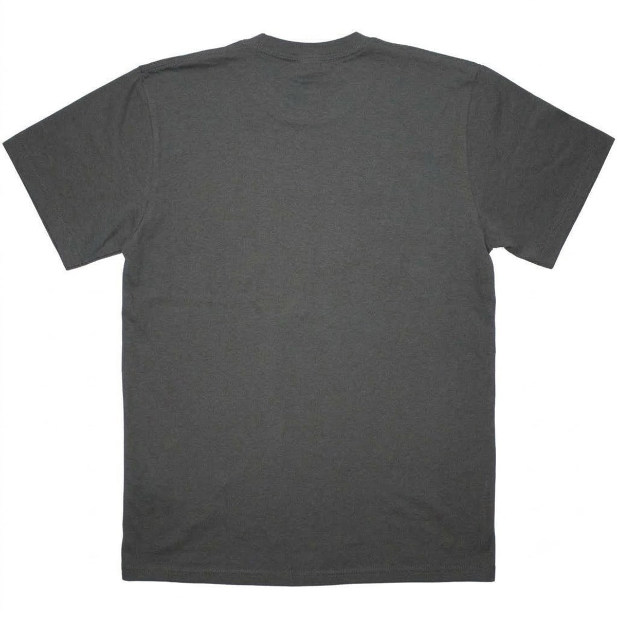 Grey - Back - The Stone Roses Unisex Adult Adored T-Shirt