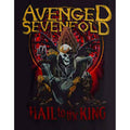 Black - Side - Avenged Sevenfold Unisex Adult New Day Rises T-Shirt