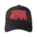 Black - Front - Lynyrd Skynyrd Unisex Adult Logo Baseball Cap