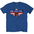 Blue - Front - Beastie Boys Unisex Adult American Flag Cotton T-Shirt