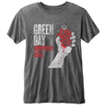 Charcoal Grey - Front - Green Day Unisex Adult American Idiot Burnout T-Shirt
