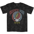 Grey - Front - Grateful Dead Unisex Adult 1974 Tie Dye T-Shirt