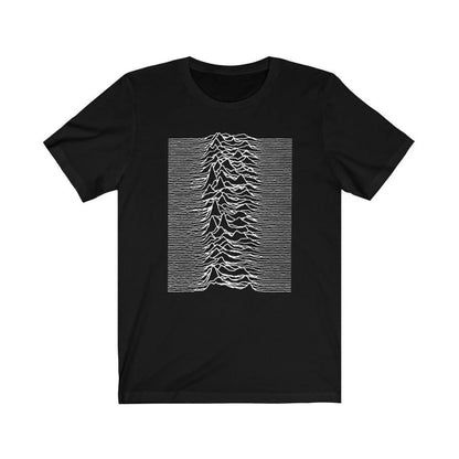 Black - Front - Joy Division Unisex Adult Unknown Pleasures Back Print T-Shirt