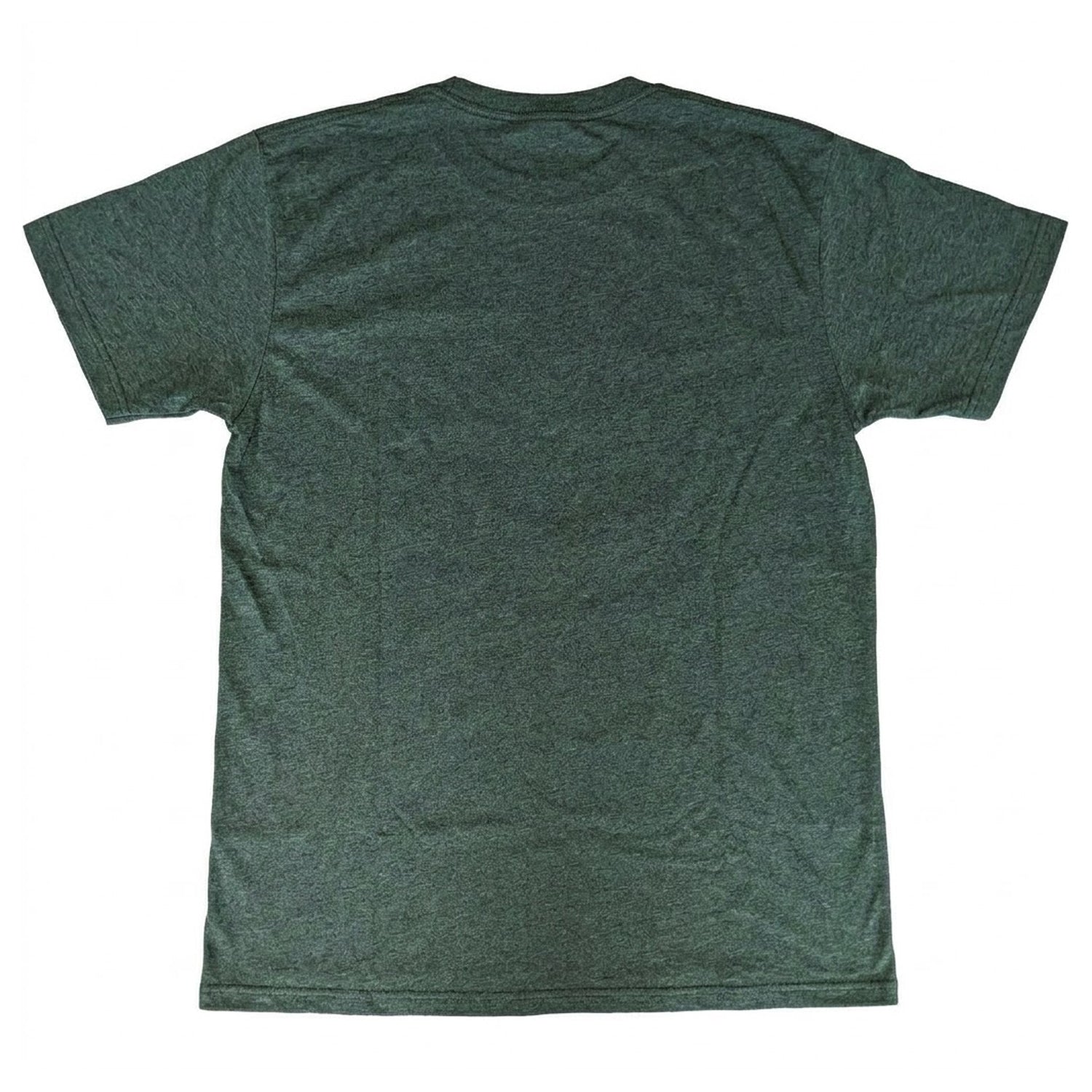 Green - Back - Green Day Unisex Adult Dookie Frame T-Shirt