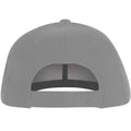 Grey - Back - The Beatles Unisex Adult Drop T Logo Baseball Cap