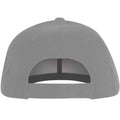 Grey - Back - The Beatles Unisex Adult Drop T Logo Baseball Cap