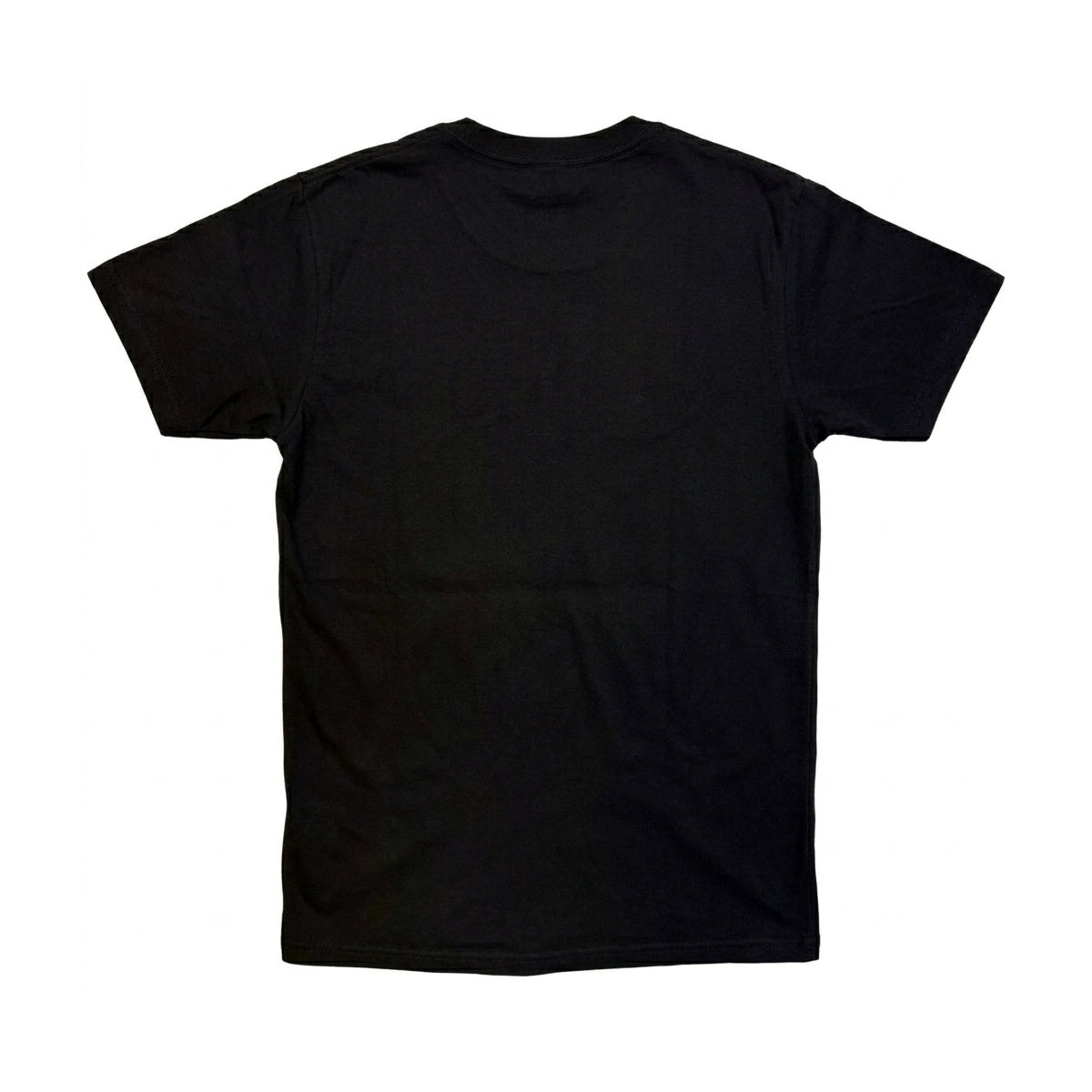 Black - Back - Tupac Shakur Unisex Adult All Eyez On Me T-Shirt