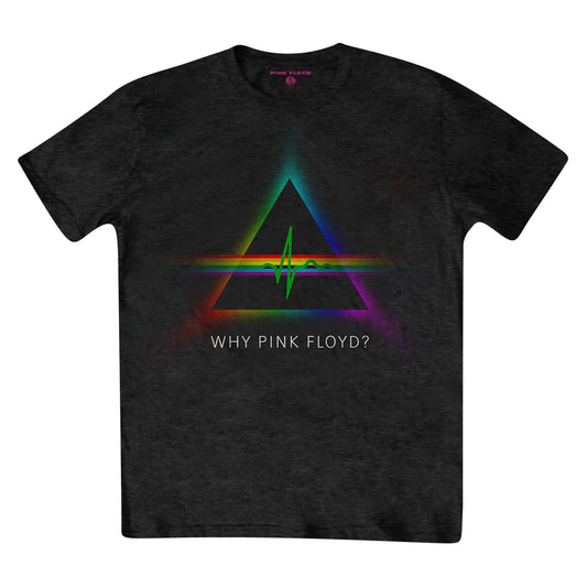 Black - Front - Pink Floyd Unisex Adult Why Back Print T-Shirt