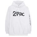 White - Front - Tupac Shakur Unisex Adult I See No Changes Hoodie