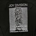Black - Back - Joy Division Unisex Adult Unknown Pleasures Hoodie