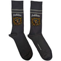 Charcoal Grey-Yellow - Front - Sublime Unisex Adult Sun Socks
