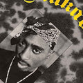 Grey - Side - Tupac Shakur Unisex Adult Makaveli Tie Dye T-Shirt