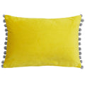 Mimosa-Silver - Front - Paoletti Fiesta Rectangle Cushion Cover