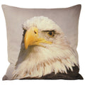 Multi - Front - Riva Home Animal Eagle Cushion Cover