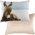 Multicoloured - Back - Evans Lichfield Winter Donkey Cushion Cover