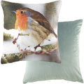 Multicoloured - Back - Evans Lichfield Robin Cushion Cover
