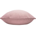 Powder Pink - Back - Evans Lichfield Sunningdale Velvet Cushion Cover