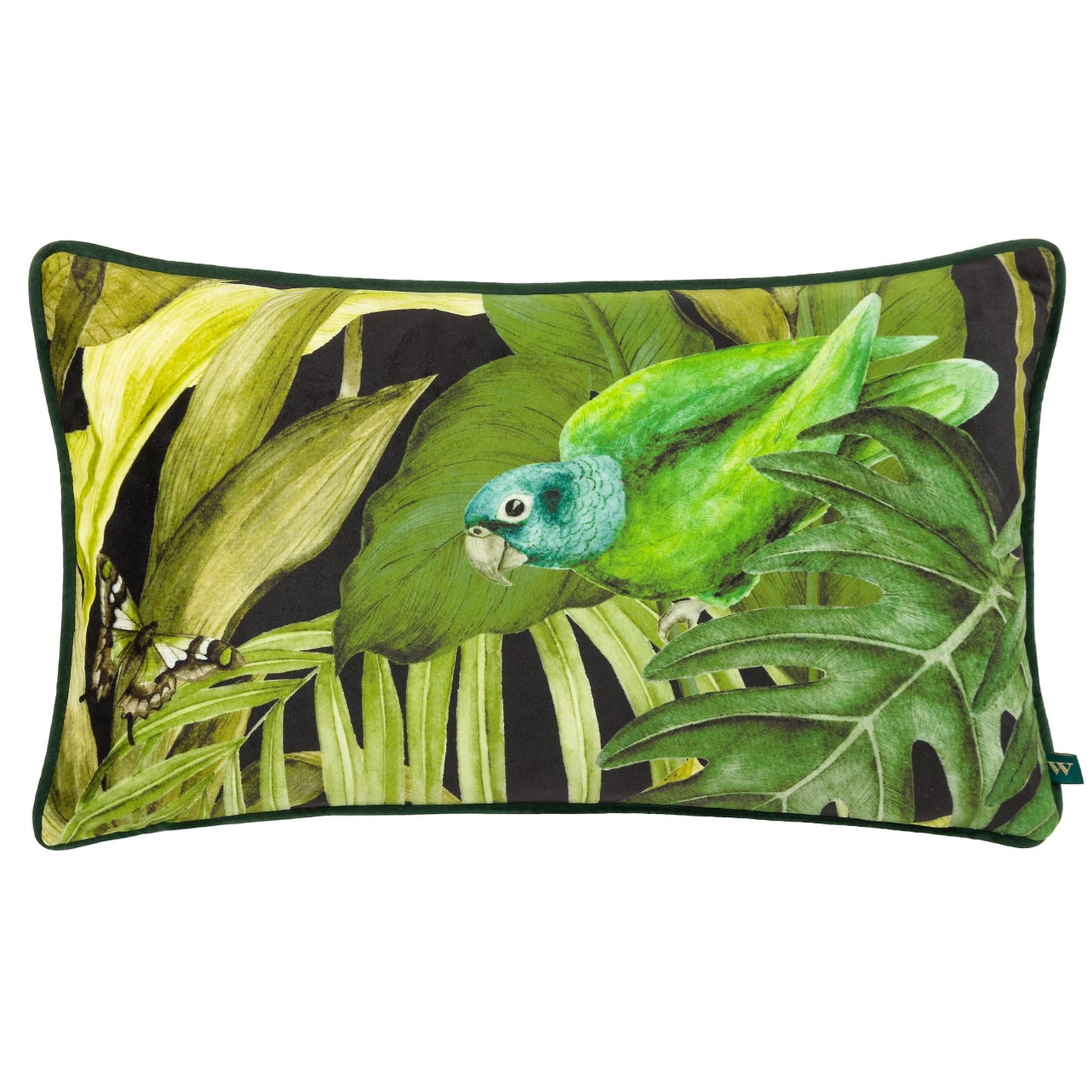 Black-Green - Front - Wylder Psitta Velvet Cushion Cover