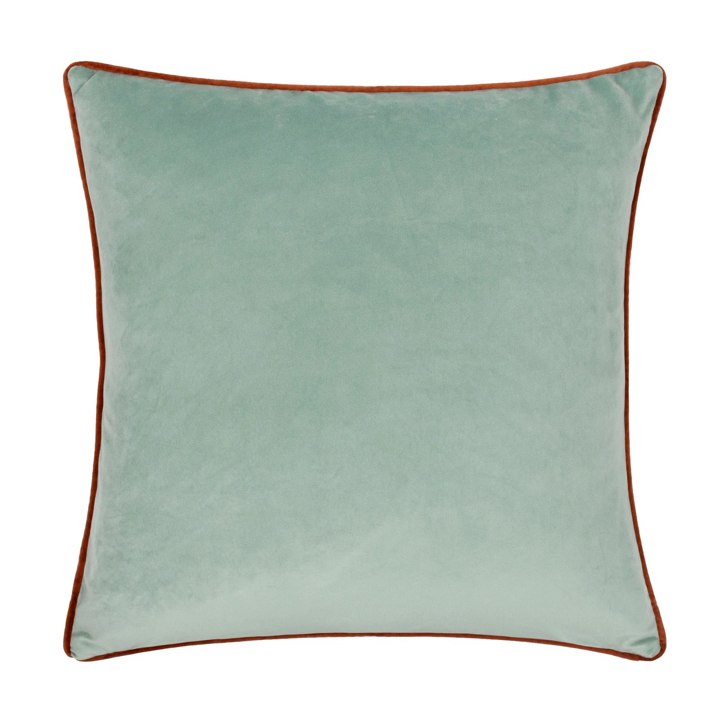 Teal - Back - Little Furn Roar Piped Velvet Cushion Cover