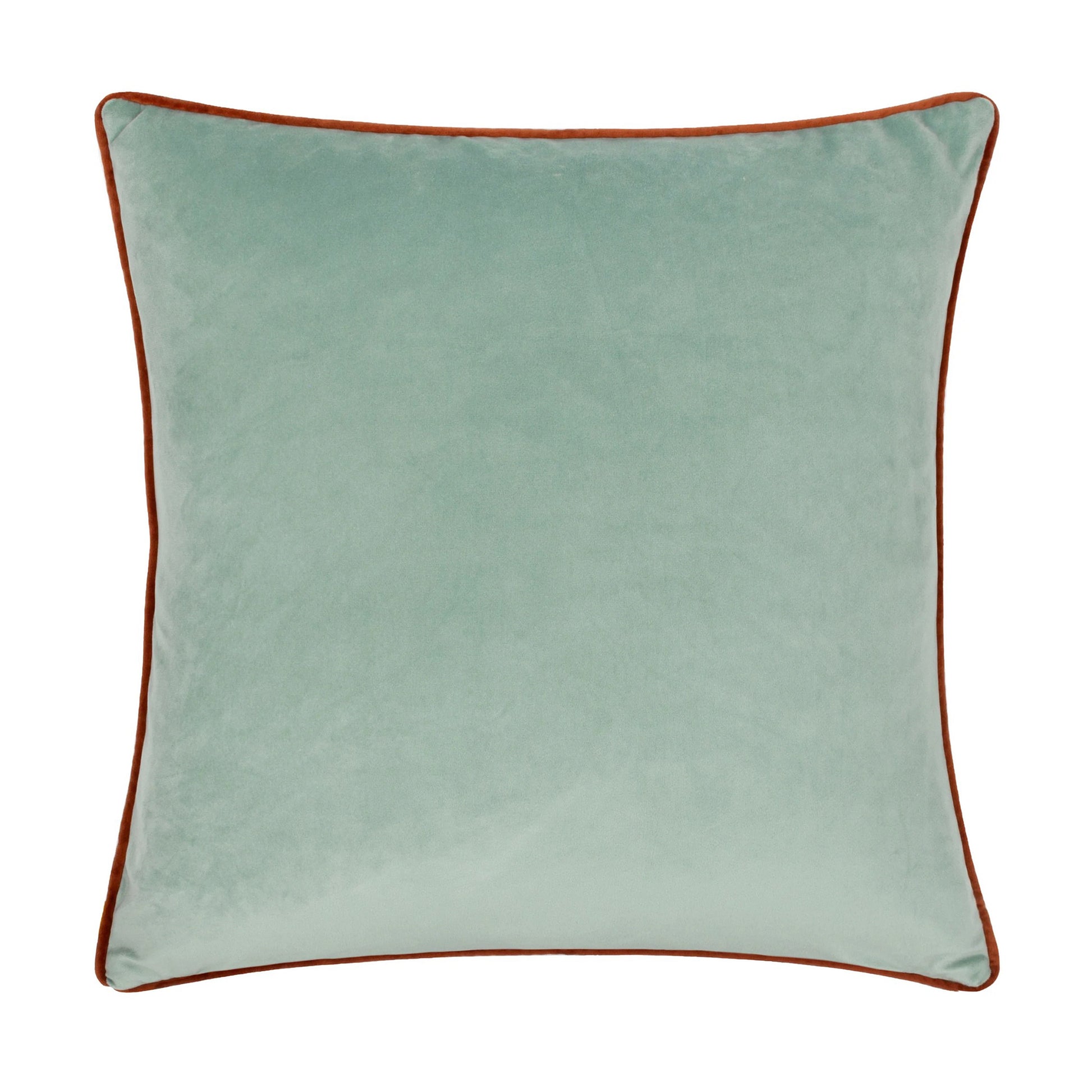 Teal - Back - Little Furn Roar Piped Velvet Cushion Cover