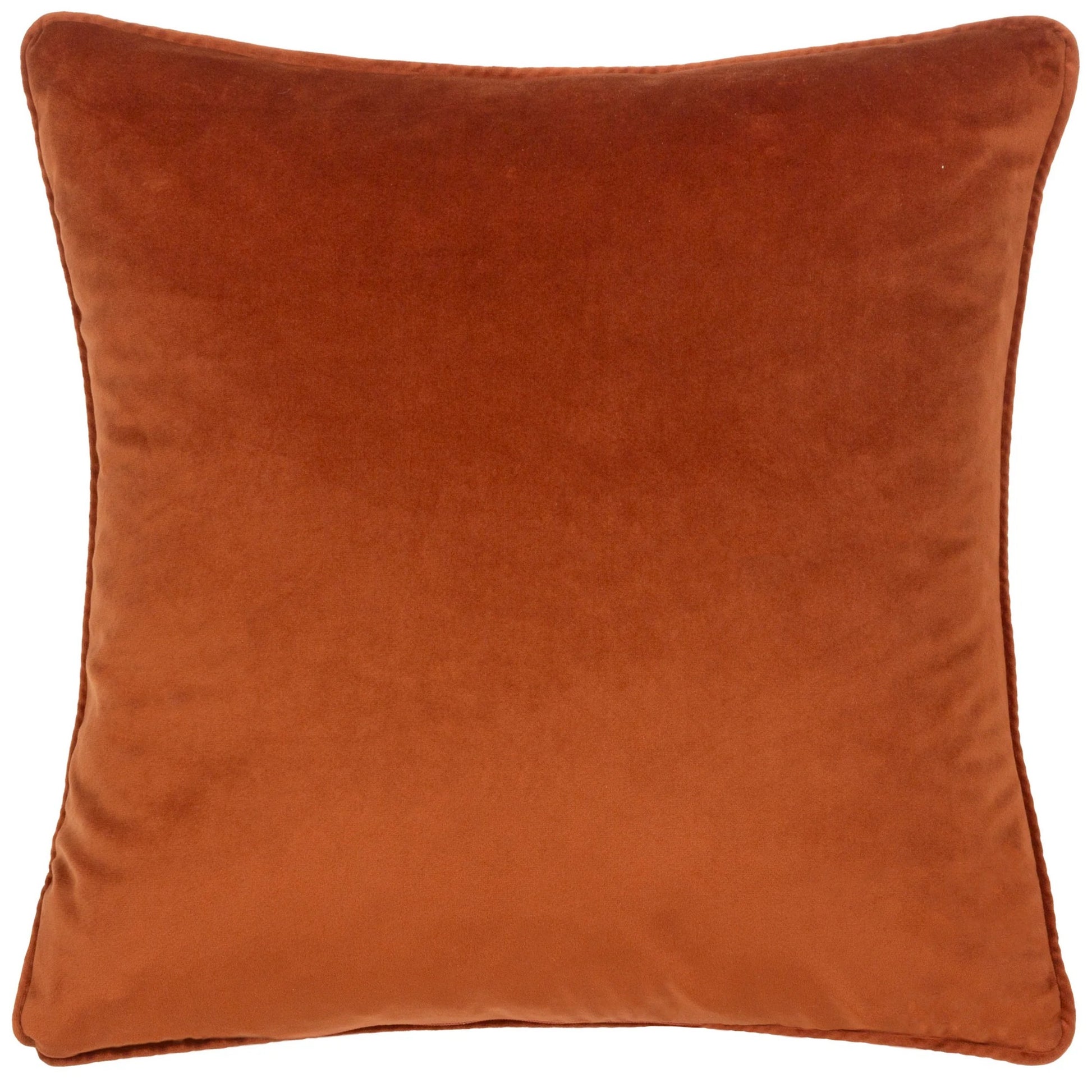 Multicoloured - Back - Wylder Pomona Piped Floral Cushion Cover