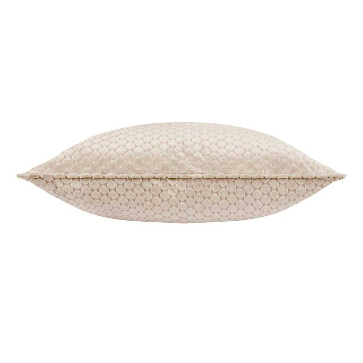 Champagne - Back - Paoletti Neptune Velvet Cushion Cover