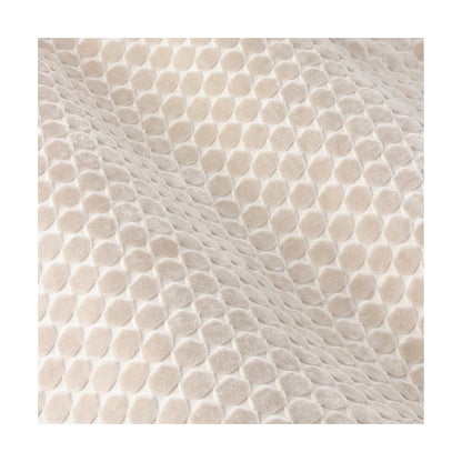 Champagne - Side - Furn Neptune Velvet Eyelet Curtains