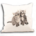 Cream - Front - Riva Home Kitty Cushion Cover