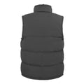 Black - Back - Result Unisex Adult Padded Body Warmer