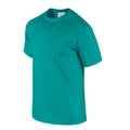 Jade Dome - Side - Gildan Unisex Adult Ultra Cotton T-Shirt