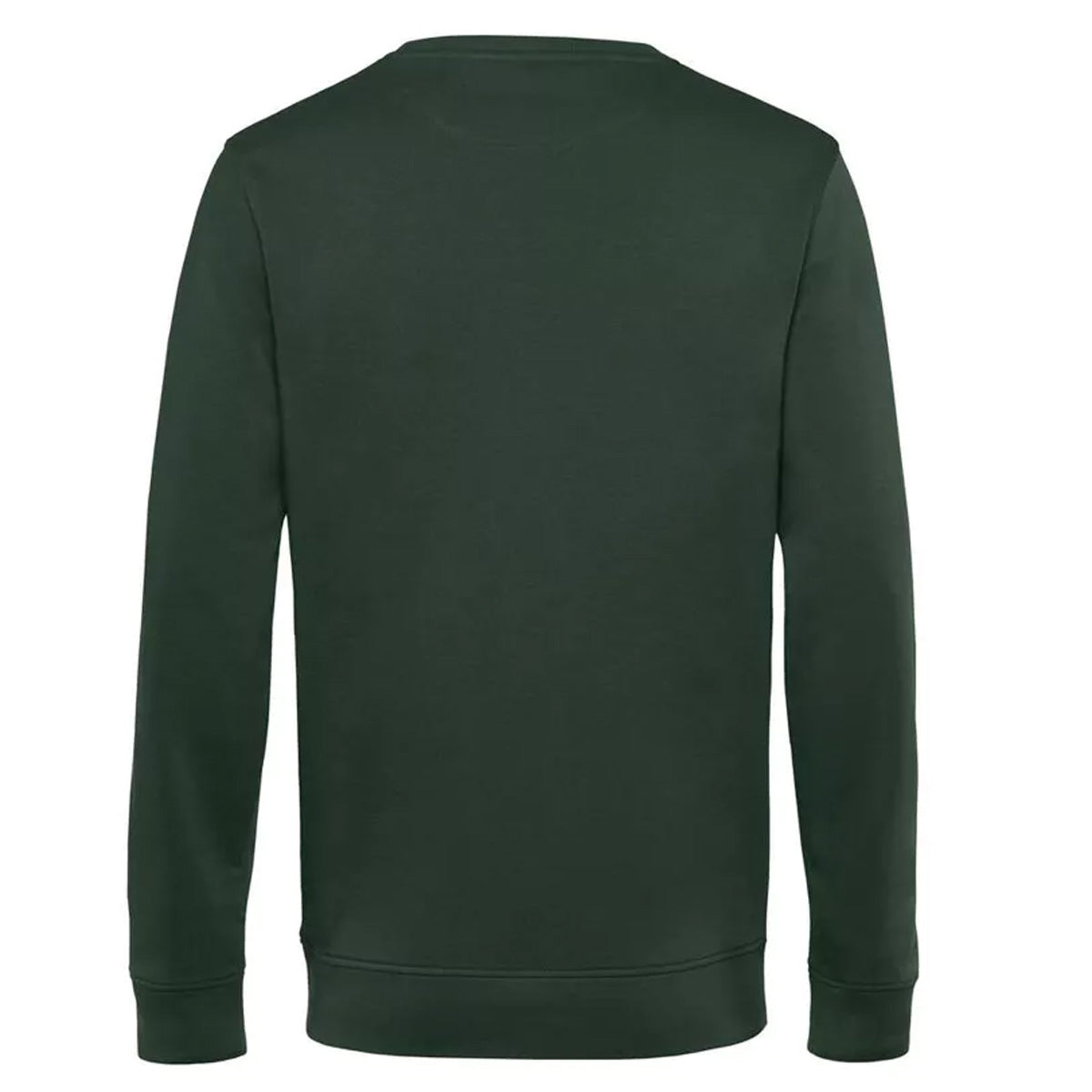 Forest - Back - B&C Mens Inspire Jumper