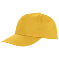 Yellow - Back - Result Headwear Houston 5 Panel Cap