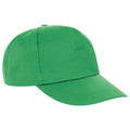 Apple Green - Front - Result Headwear Houston 5 Panel Cap