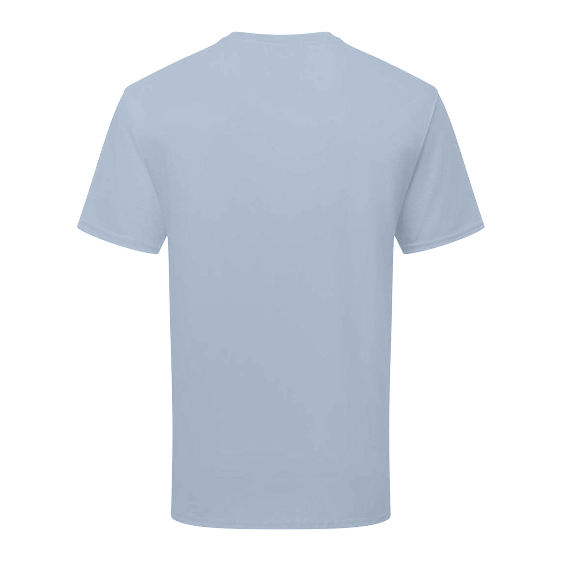 Mineral Blue - Back - Fruit of the Loom Unisex Adult Cotton T-Shirt