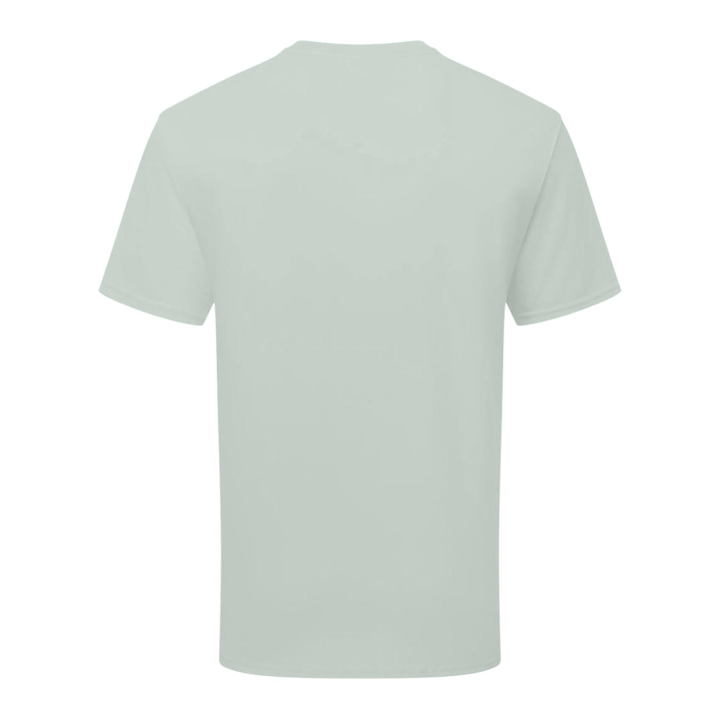 Sage - Back - Fruit of the Loom Unisex Adult Cotton T-Shirt