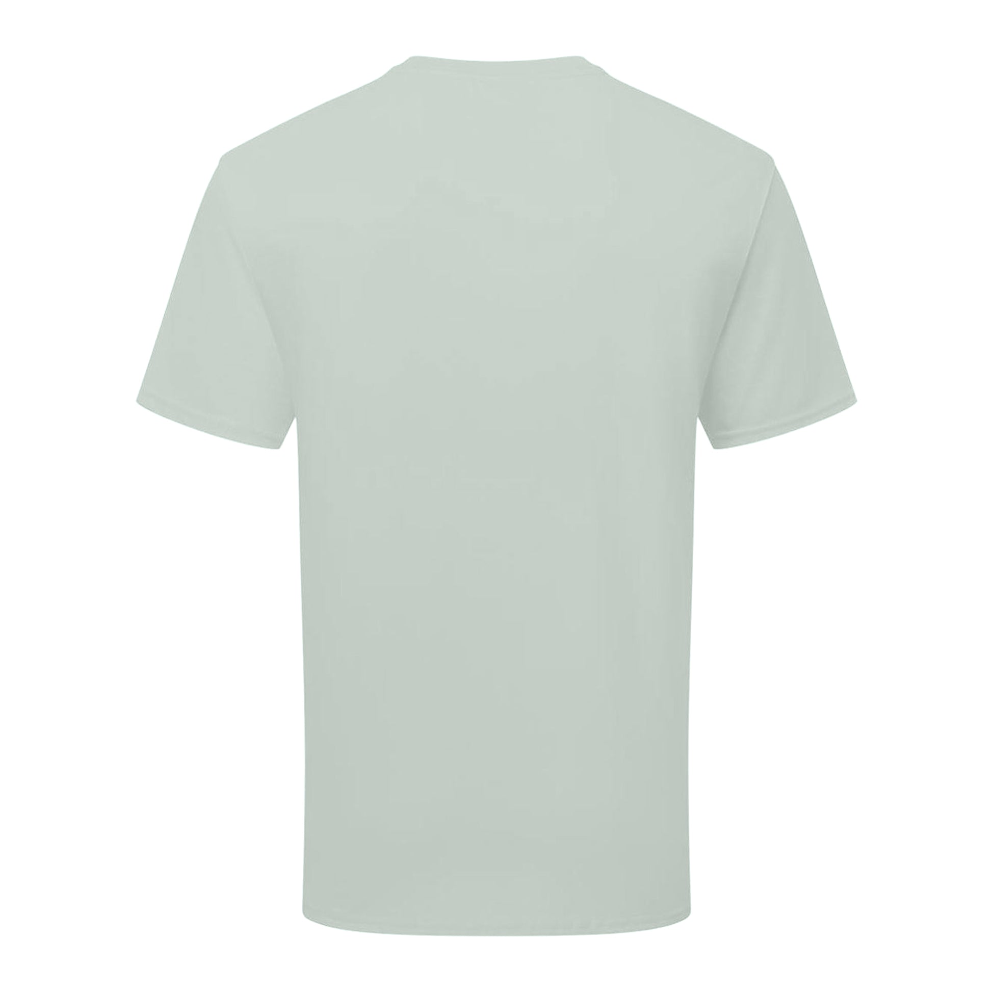 Sage - Back - Fruit of the Loom Unisex Adult Cotton T-Shirt