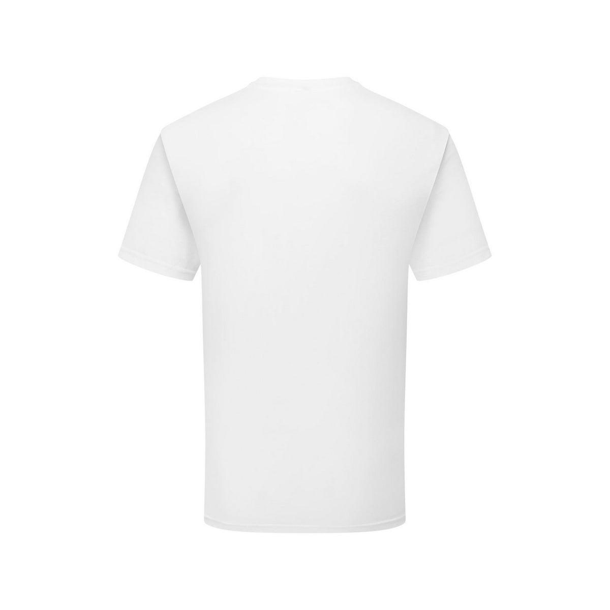 White - Back - Fruit of the Loom Unisex Adult Cotton T-Shirt