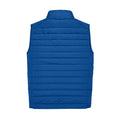 Royal Blue - Back - B&C Unisex Adult Reset Body Warmer