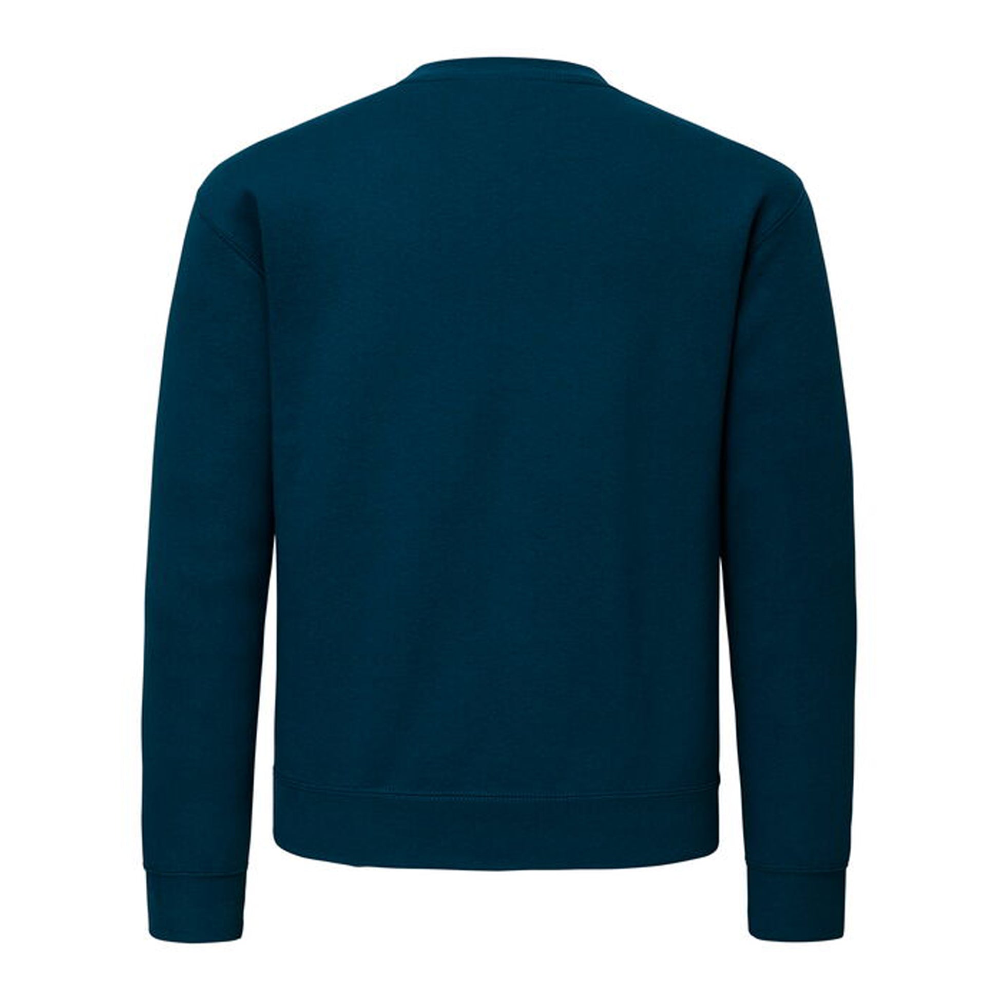 Mountain Blue - Back - Fruit of the Loom Unisex Adult Supercotton Sweatshirt